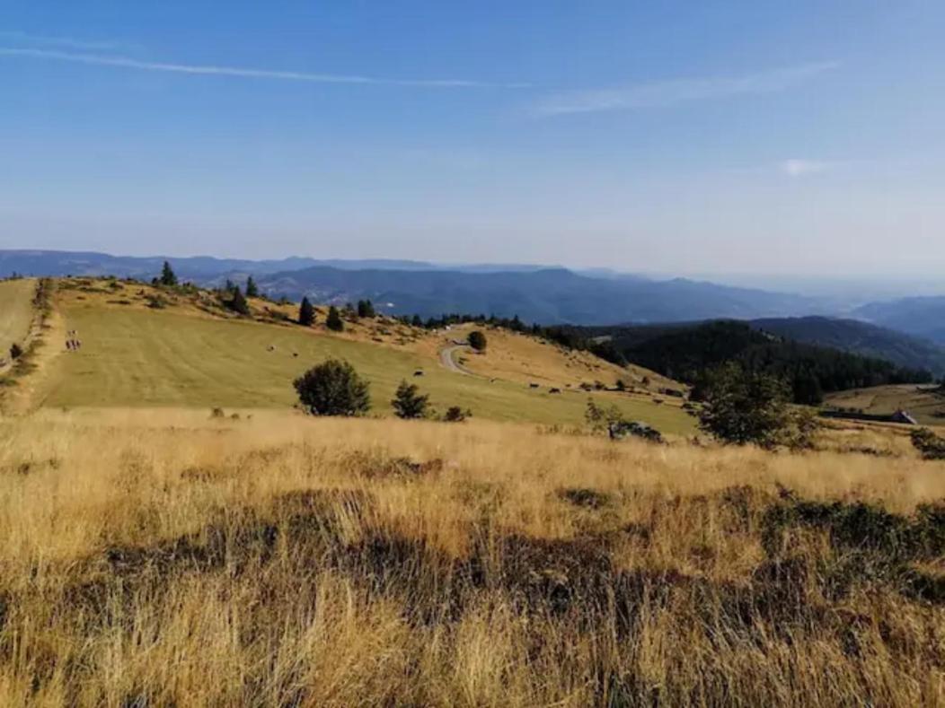 Les Locations De Stephanie Les Hautes Vosges Sondernach Exterior foto